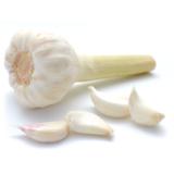 Knoblauch weiß frisch