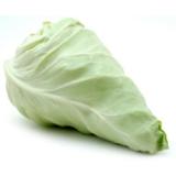 Spitzkohl ca. 600g (ab dem 06.04.2026)