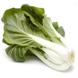 Pak Choi
