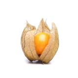 Physalis groß (ca. 15gr pro Stück)