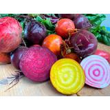 Bunte Bete im Bund