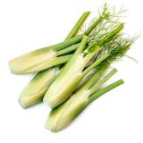 Baby - Fenchel mit grün