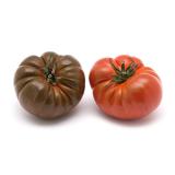 Tomate "Rebellion Rose"