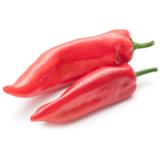Paprika bunt spitz