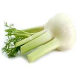 Fenchel