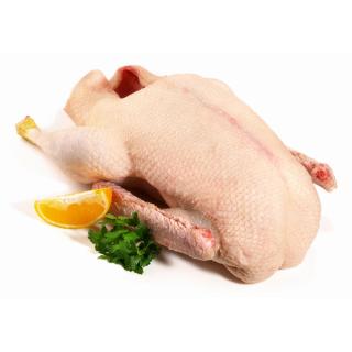 Gans ca. 5,5 kg