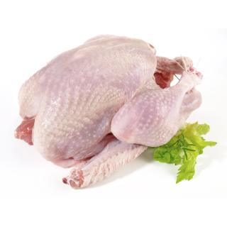 Pute über 6 kg