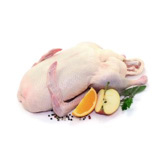Ente ca. 3,0 kg