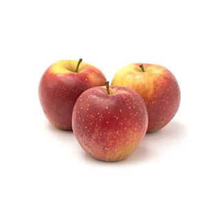 Apfel Wellant