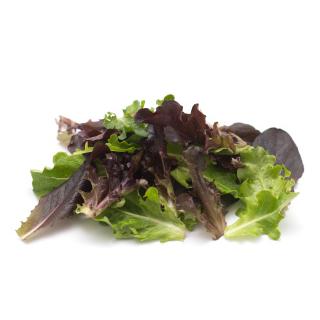 Frühlingsschnittsalat