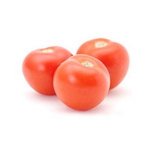 Tomate Strauch