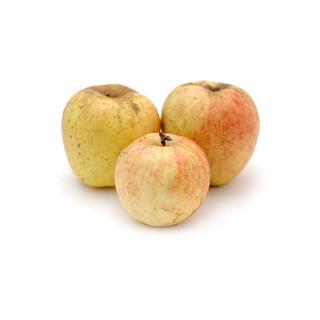 Apfel Finkenwerder Herbstprinz