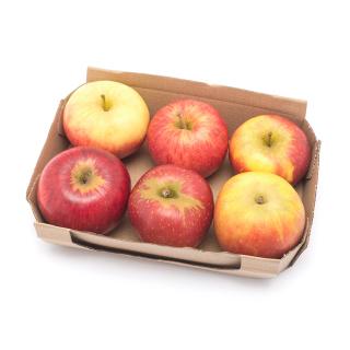 Apfel Probierpaket