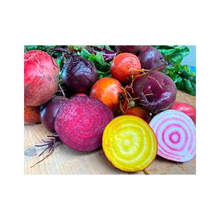 Bunte Bete im Bund