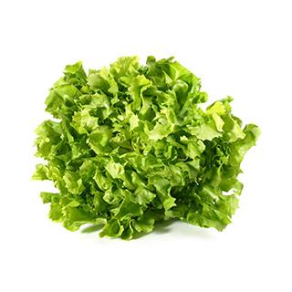 Endiviensalat