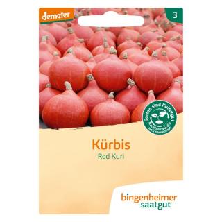 Saatgut Kürbis Red Kuri
