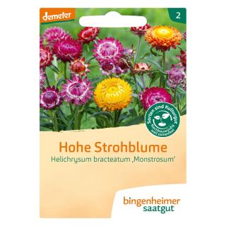 Saatgut Hohe Strohblume