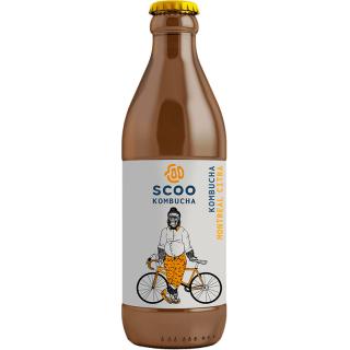Kombucha Montreal Citra unpasteurisiert