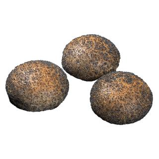 Mohnbrötchen 5 Stück