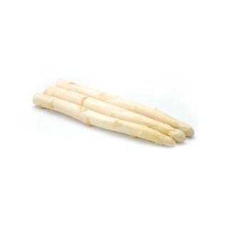 Spargel weiß 22-26mm