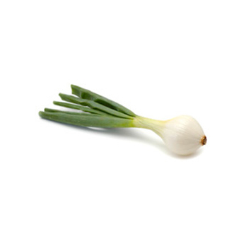 Gemüsezwiebel mit Grün