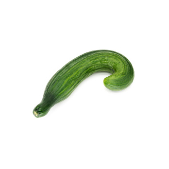 Salatgurke krumm