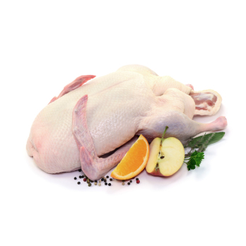 Ente ca. 3,0 kg