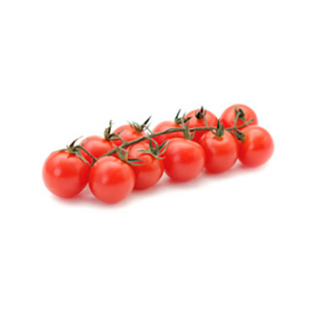 Tomate Cherrystrauch