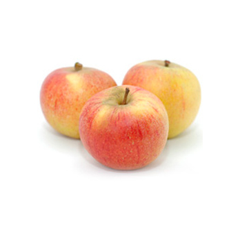 Apfel Cox Orange