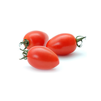 Tomate Roma