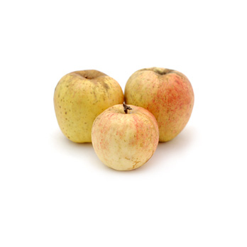 Apfel Finkenwerder Herbstprinz