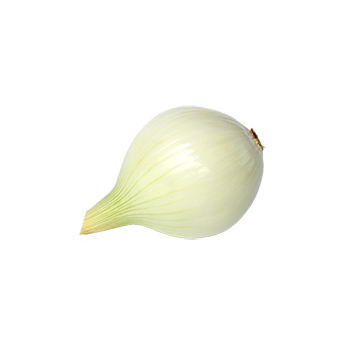 Gemüsezwiebel