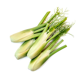 Baby - Fenchel mit grün