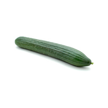 Salatgurke