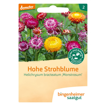 Saatgut Hohe Strohblume