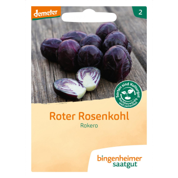 Saatgut Rosenkohl rot Rokero