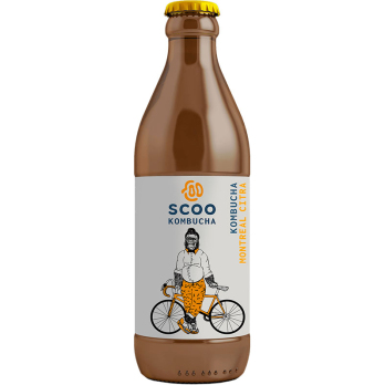 Kombucha Montreal Citra unpasteurisiert