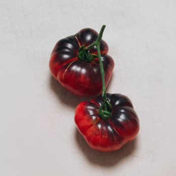 Tomate "Siberian Tiger"