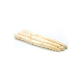 Spargel weiß 22-26mm