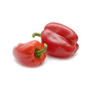 Paprika rot