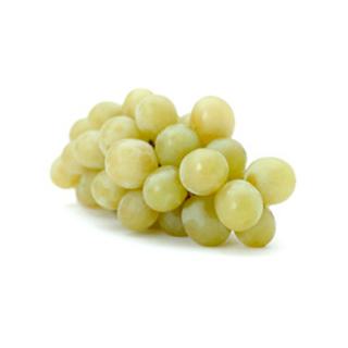 Trauben weiß kernlos