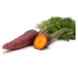 Möhren Soletta (lila, orange) / Ersatz rote Helene