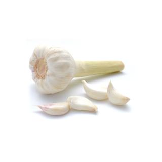 Knoblauch weiß frisch