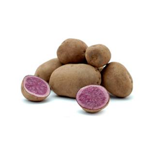 Kartoffel "blaue Anneliese" leider nicht lieferbar - Ersatz "rote Emmalie"