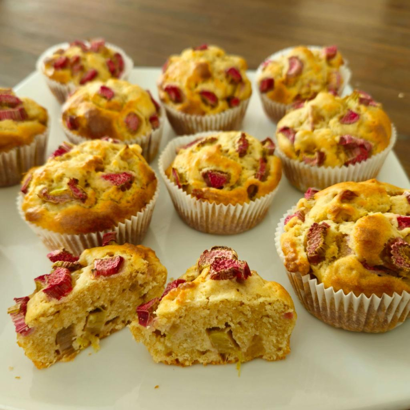 Rhabarber Muffins