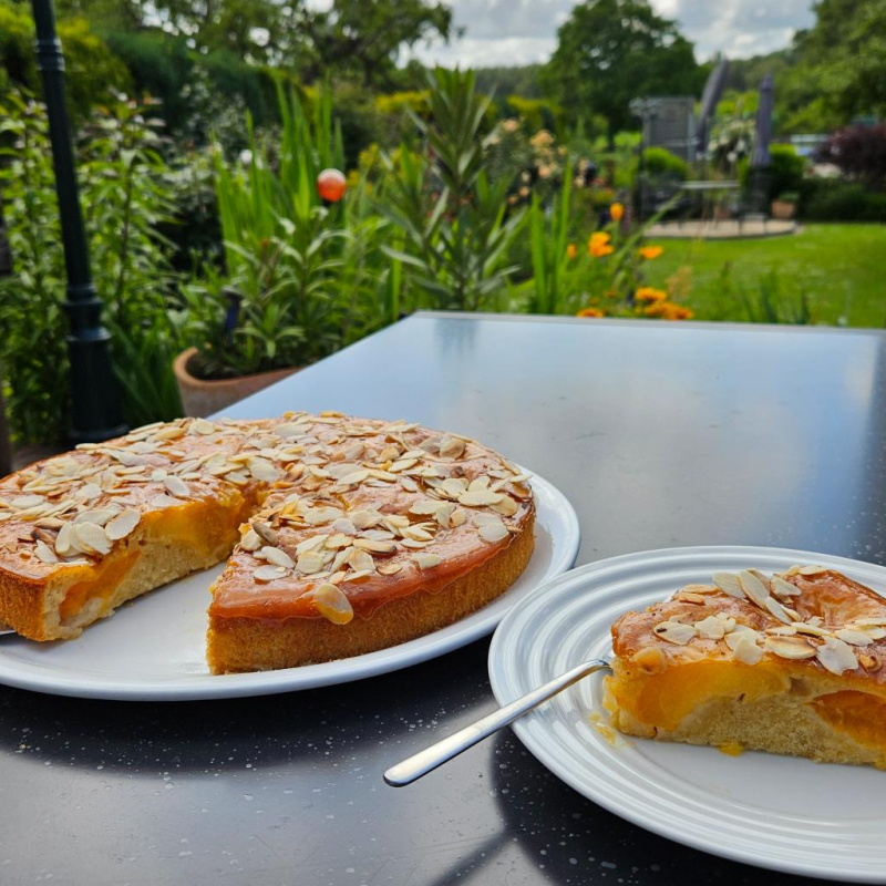 Aprikosenkuchen mit Mandeln, saftig und lecker