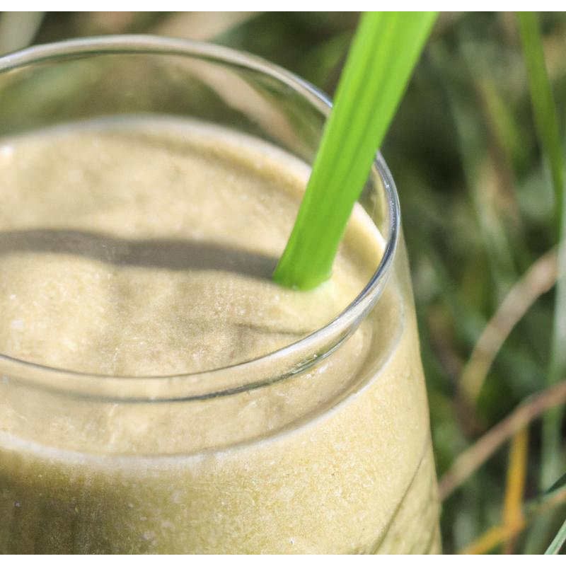 Fenchel Smoothie mit Gerstengras