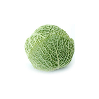 Wirsingkohl (ca. 800 gr)