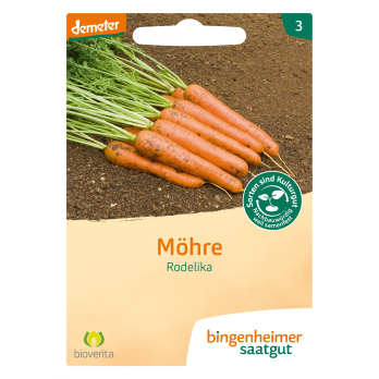 Saatgut Möhre Rodelika
