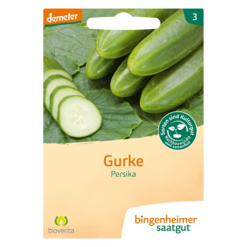 Saatgut Persika Freilandgurke